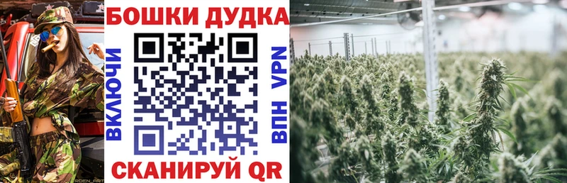 Названия наркотиков Каменногорск Бошки Шишки  Alpha PVP  MEGA ONION  Галлюциногенные грибы  КЕТАМИН  Меф  ГАШ 