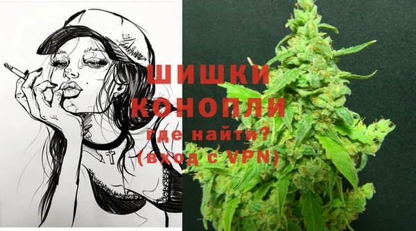 прущие крисы Каменка