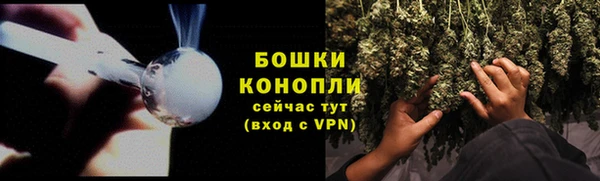 прущие крисы Каменка