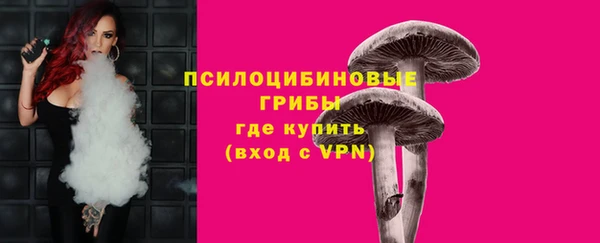 шишки Каменск-Шахтинский