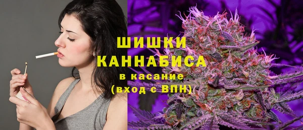 прущие крисы Каменка