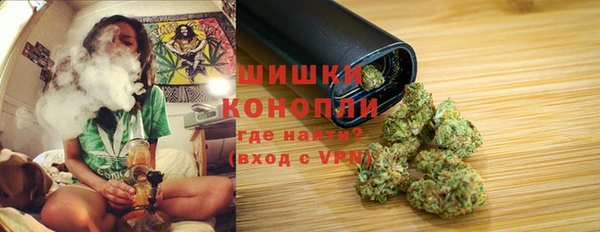 прущие крисы Каменка