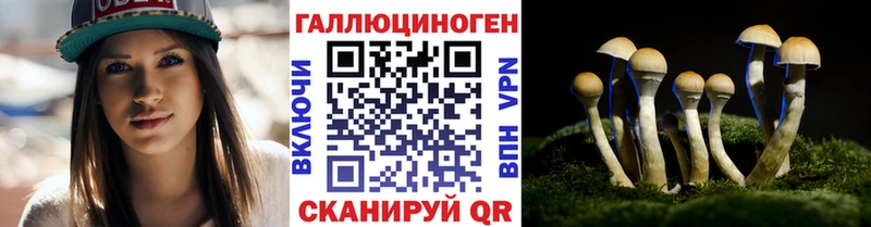 МЕГА ONION  Каменногорск  Псилоцибиновые грибы Psilocybine cubensis  дарнет шоп 